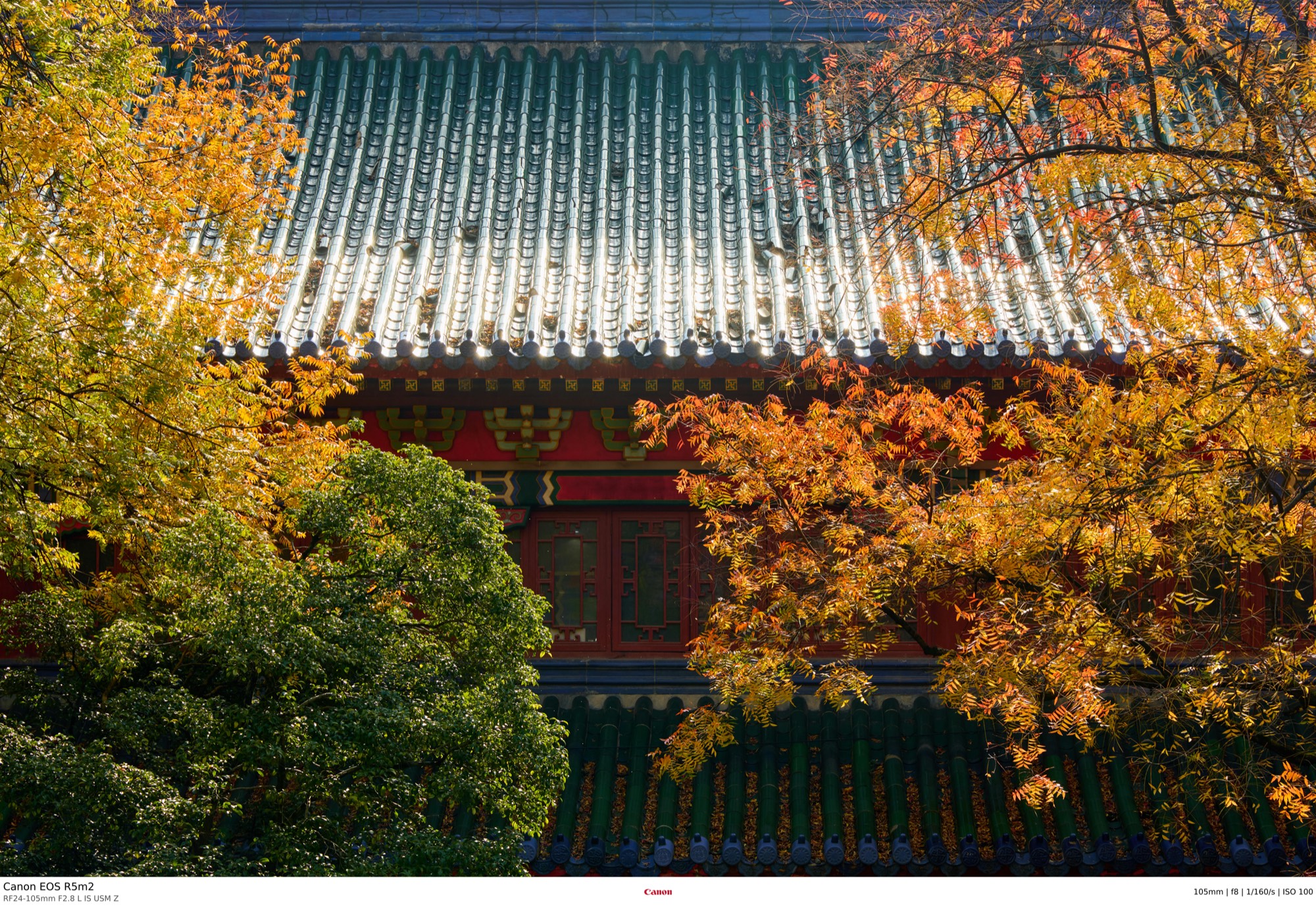 Green-tiled roof and red timber facade of a traditional Chinese hall framed by golden autumn foliage